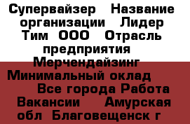 Супервайзер › Название организации ­ Лидер Тим, ООО › Отрасль предприятия ­ Мерчендайзинг › Минимальный оклад ­ 35 000 - Все города Работа » Вакансии   . Амурская обл.,Благовещенск г.